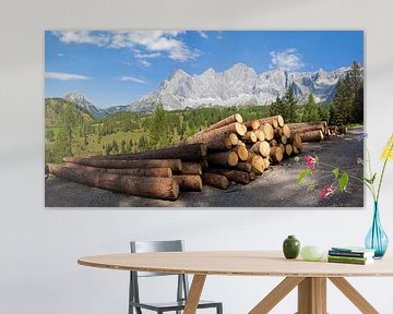 Wood storage against the backdrop of the Dachstein mountains by Christa Kramer