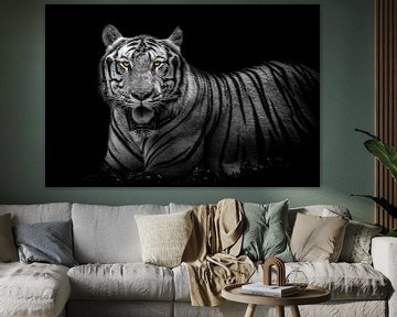 Een bengaalse tijger in zwart wit van Joost Potma