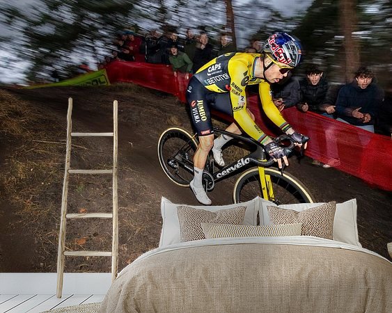 Aperçu de la chambre