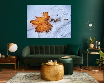 Herfstblad in de sneeuw