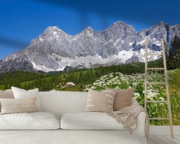Blumenzauber am Dachstein von Christa Kramer