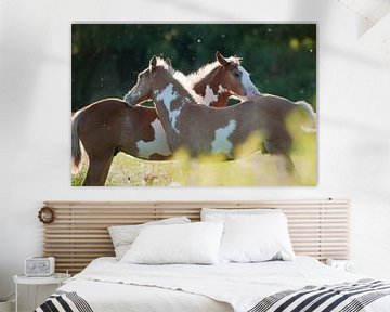 Wild horses in the Rijnstrangen by Tamara Witjes