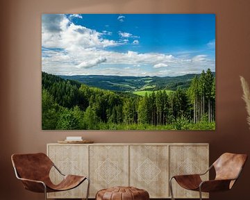 Endlose weite Aussicht auf schwarze Waldlandschaft mit blauem Himmel von adventure-photos