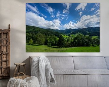 Wide beautiful untouched landscape of black forest nature near Freiburg im Breisgau by adventure-photos