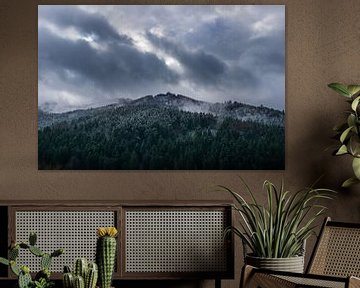 Dramatischer Himmel über schneebedeckten Bäumen des schwarzen Waldes natürliche Landschaft von adventure-photos