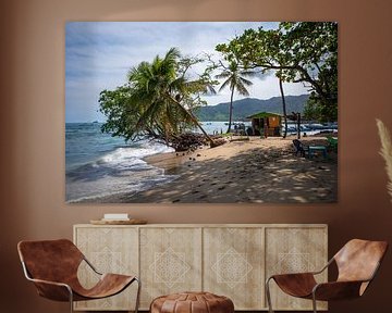 Palmiers sur la plage de Capurganá en Colombie sur Sonja Hogenboom