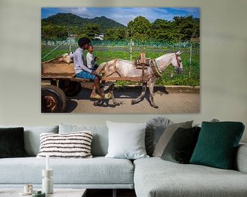 Transport per paard en wagen Colombia van Sonja Hogenboom