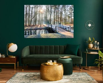 Matinée d'hiver avec pont dans la forêt de hêtres - Utrechtse Heuvelrug