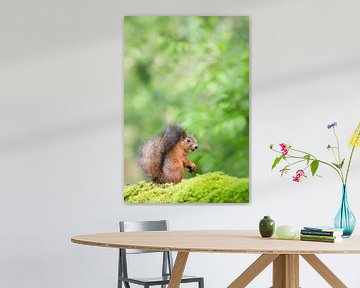 Red squirrel in green by Elles Rijsdijk