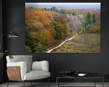 Panorama uitzicht over de Utrechtse Heuvelrug in de herfst van Sjaak den Breeje