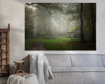 Mystérieux chalet dans la forêt sur KB Design & Photography (Karen Brouwer)