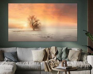 L'heure d'or en hiver