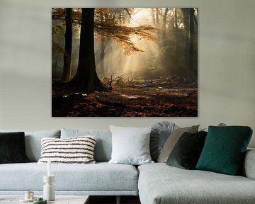 Herfstbos
