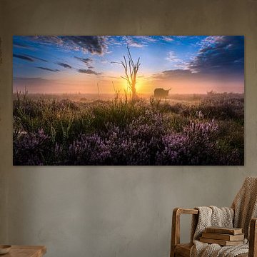 Einsamer Hochlandbewohner in den Mooren