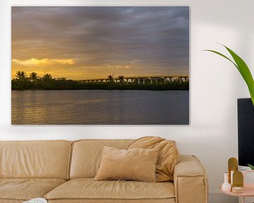 USA, Floride, Lumière chaude du soleil du soir sur un pont d'autoroute avec de la circulation derrière des plantes vertes et de l'eau sur adventure-photos