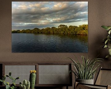USA, Floride, Lumière du coucher du soleil sur une forêt de mangrove et un lac avec un ciel nuageux sur adventure-photos