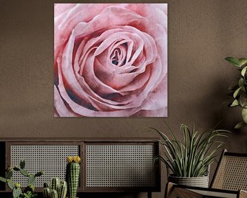 Rose by Johan Zuijdam Digi Art