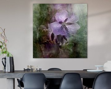 Friedlich Violett - Geranium von Claudia Gründler