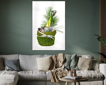 Amaryllis versierd met dennennaalden en mos op een witte achtergrond van ManfredFotos