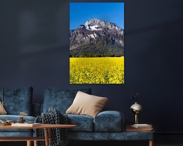 A rapeseed field against the backdrop of the Unterberg by Christa Kramer