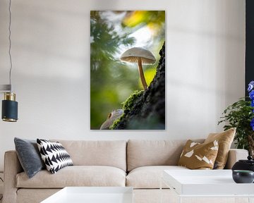 Porcelain fungus on a tree (standing) by Clicks&Captures by Tim Loos