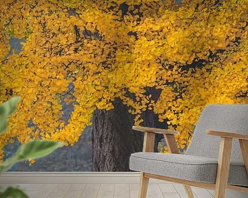 The Orange Tree II by Martin Bergsma