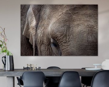 Grijze reus (olifant) van Clicks&Captures by Tim Loos