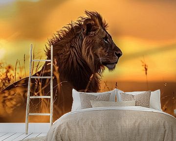 Panorama van een leeuw van Digitale Schilderijen