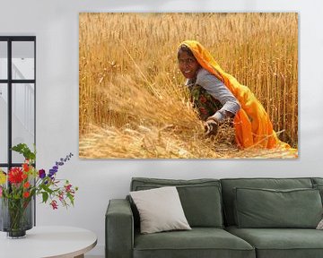 Vrouw in graanveld in India van Gonnie van de Schans