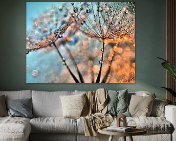 Dandelion Light Reflections by Julia Delgado