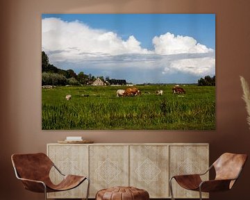 Grazende koeien onder een Hollandse lucht van Stephan Neven