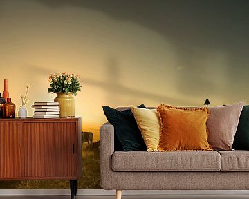 Morning light on the river IJssel - 2 by Damien Franscoise