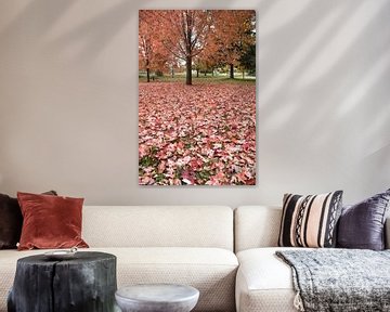 Leaves in the park in autumn by Claude Laprise