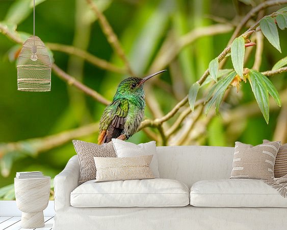 Aperçu de la chambre