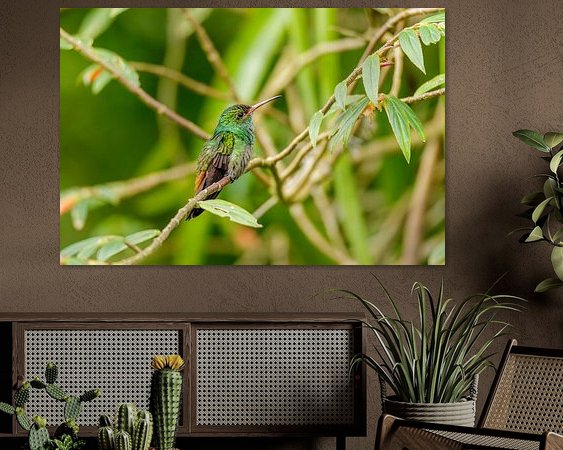 Aperçu de la chambre