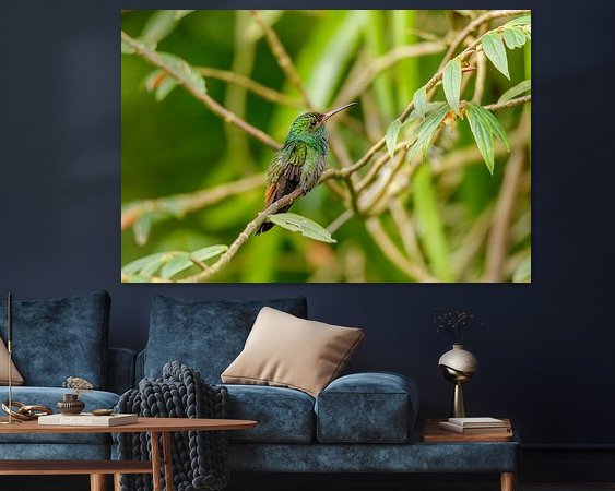 Aperçu de la chambre