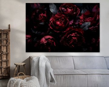Opulent, atmospheric flowers in dark burgundy Baroque roses 1 by Floral Abstractions
