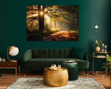 Paysage d'automne