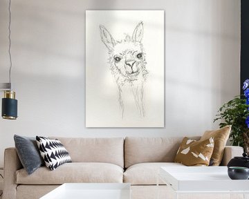 Alpaca portrait