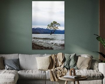 Wanaka Tree: Symbool van Wanaka's Natuurschoon van Ken Tempelers