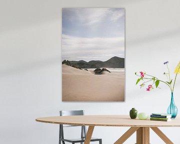 Cape Farwell: The Northern Tip of New Zealand