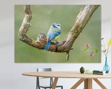 Mésange bleue sur une branche - peinture sur Gianni Argese