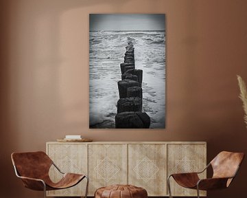 Entdecken Sie den Zauber der verwitterten Strandpfähle in Cadzand, Niederlande von DroomGans