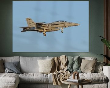 Boeing F/A-18F Super Hornet de la VFA-211 Fighting Checkmates. sur Jaap van den Berg