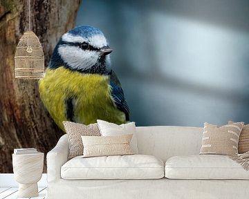 Pimpelmees op tak op een donkere bokeh achtergrond