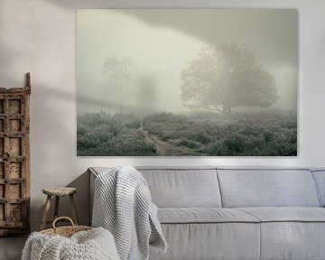 Misty Mornings VI van Rogier Kwikkers