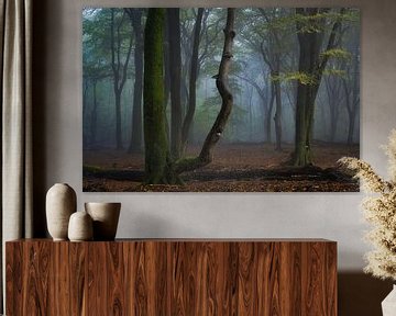 Oud bos in de mist van Waldo Kersten