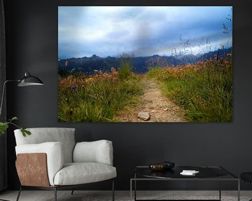 Path in mountains with flowers by Tom Van Dyck