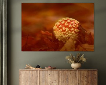 Atmospheric fly agaric by Latifa - Natuurfotografie