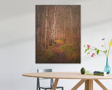 De prachtige natuur in het park van Robby's fotografie